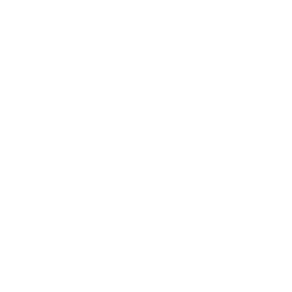 The Glove Company